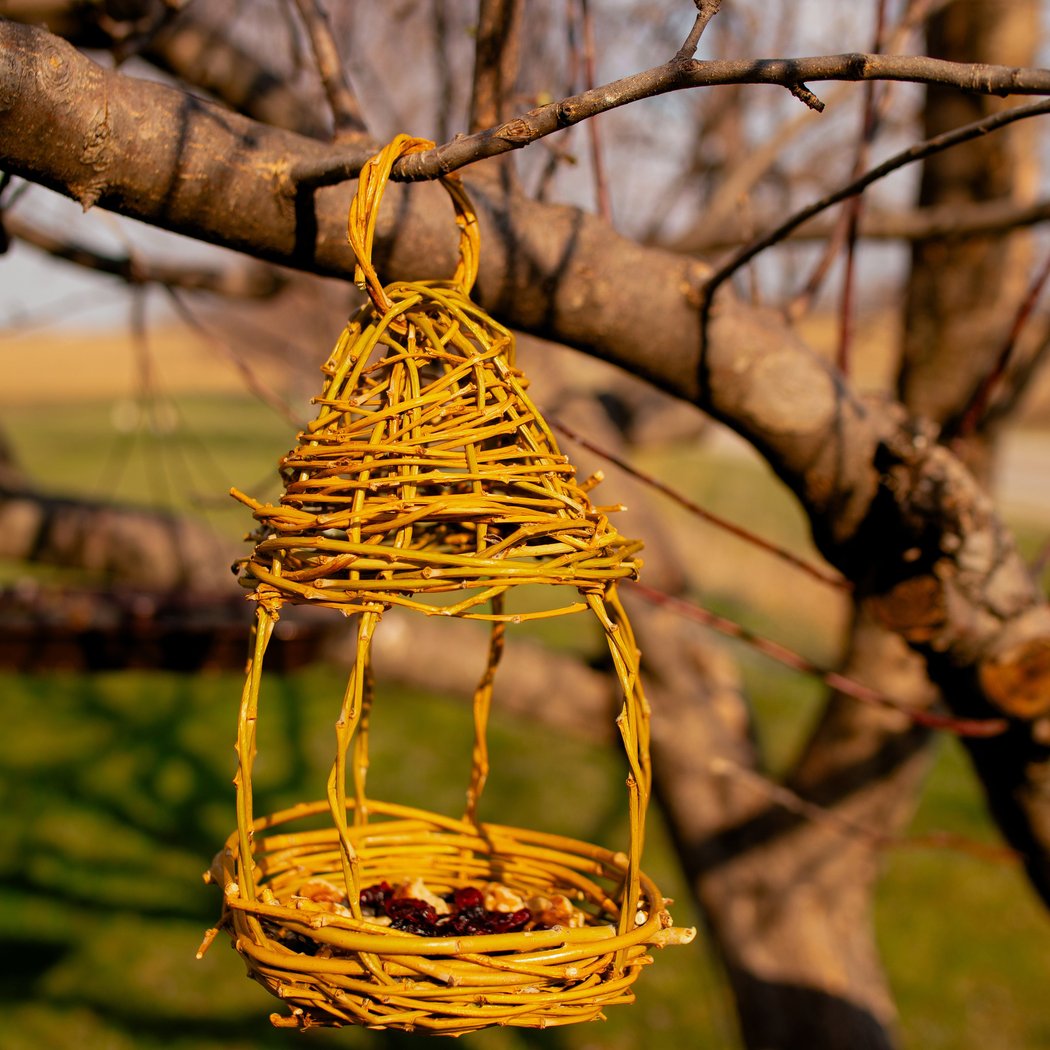 Make and Take: Willow Bird Feeders 3