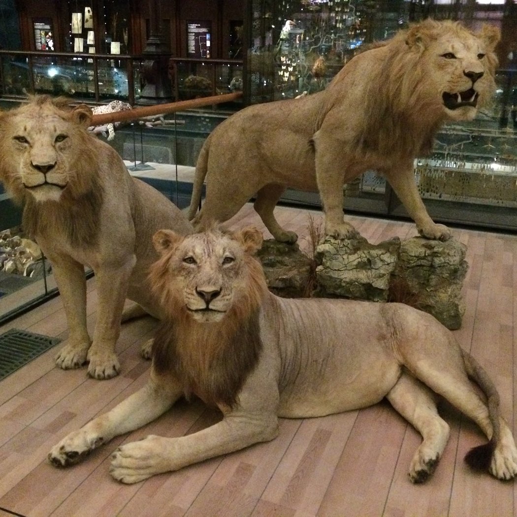 Fête de la Nature 2