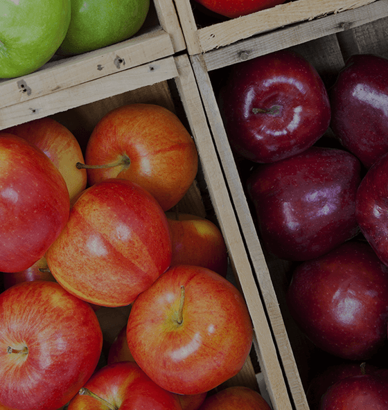 Franklin Cider Mill 2