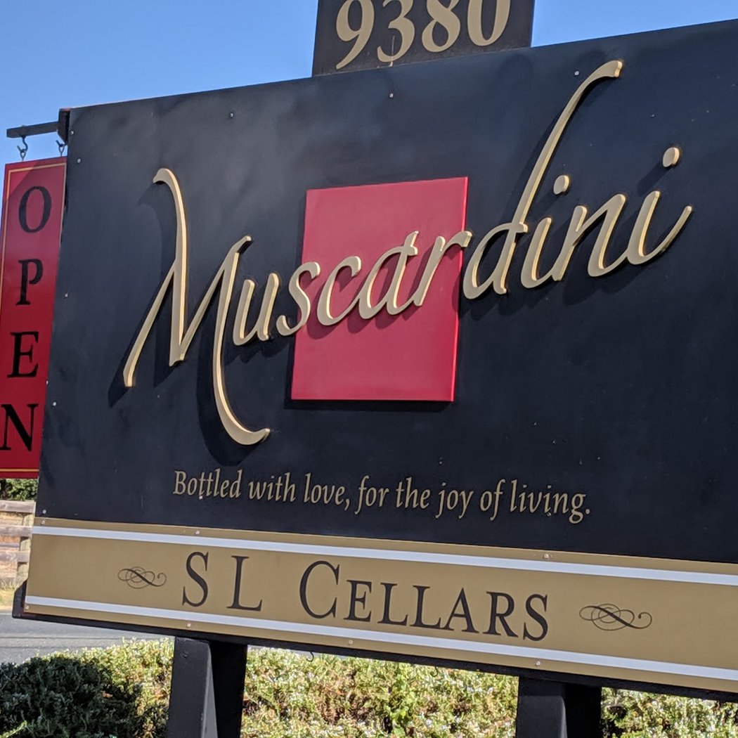 Live Music at Muscardini Cellars 3