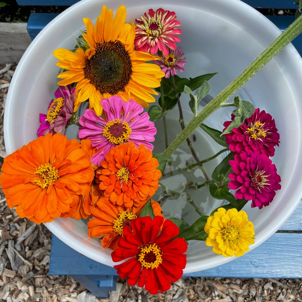 McCarren Park Demonstration Garden 3