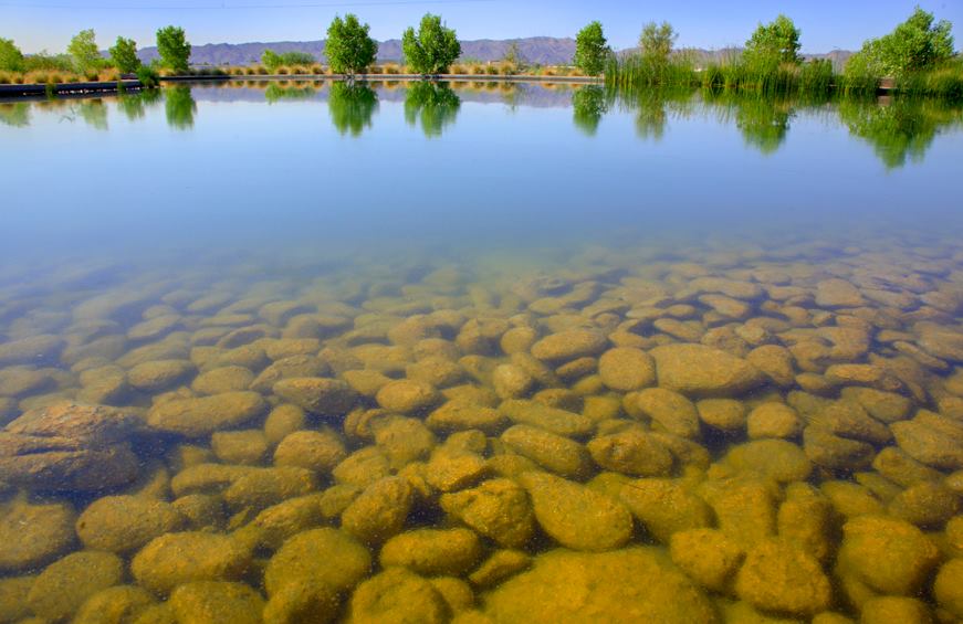 Rio Salado Habitat Restoration Trail Walk 3