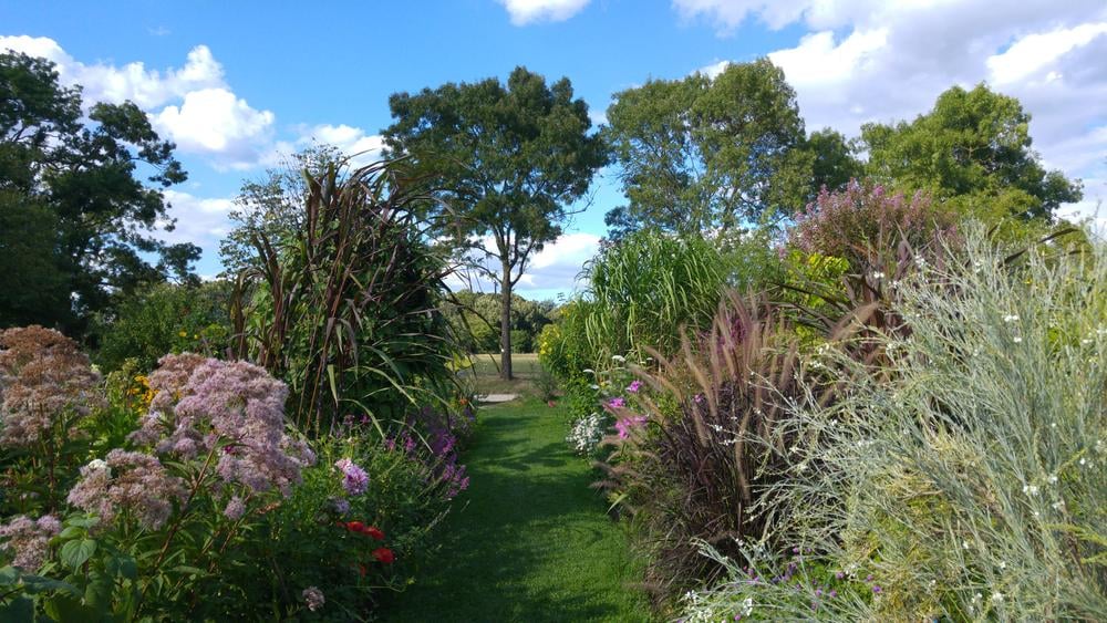 Visite guidée : Balade aux jardins de l'Ecole du Breuil