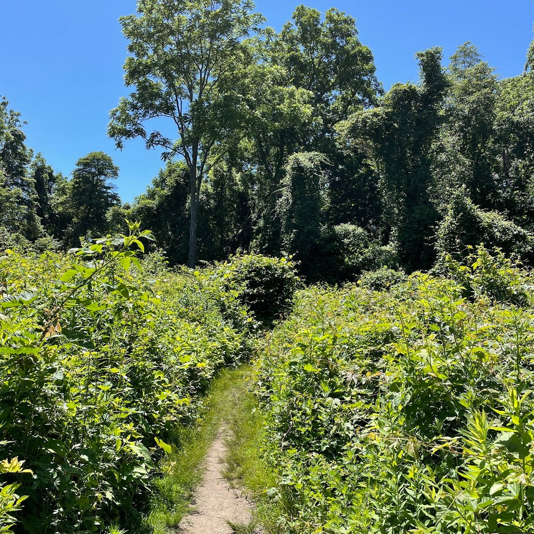Trail View State Park 1