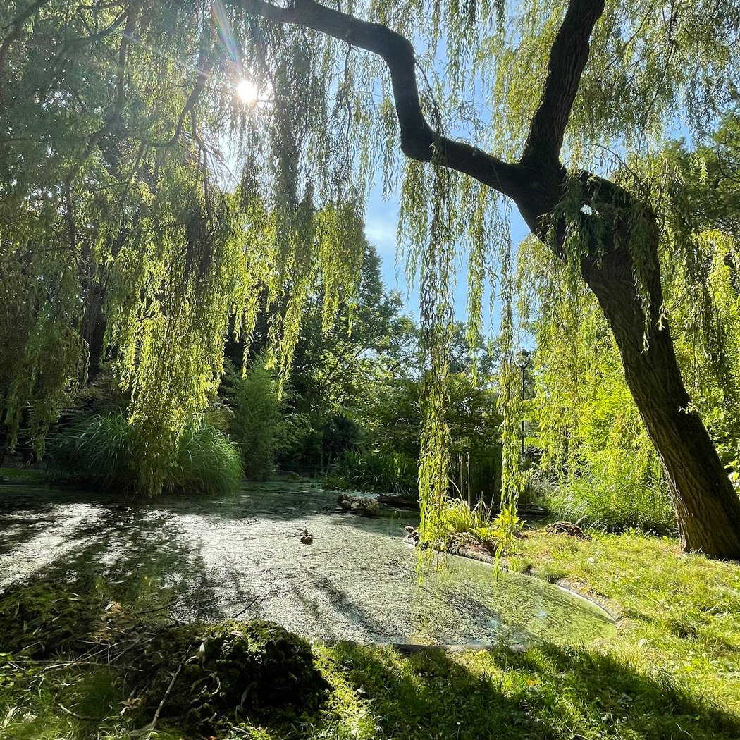 Saint Mary Park of Nancy 1