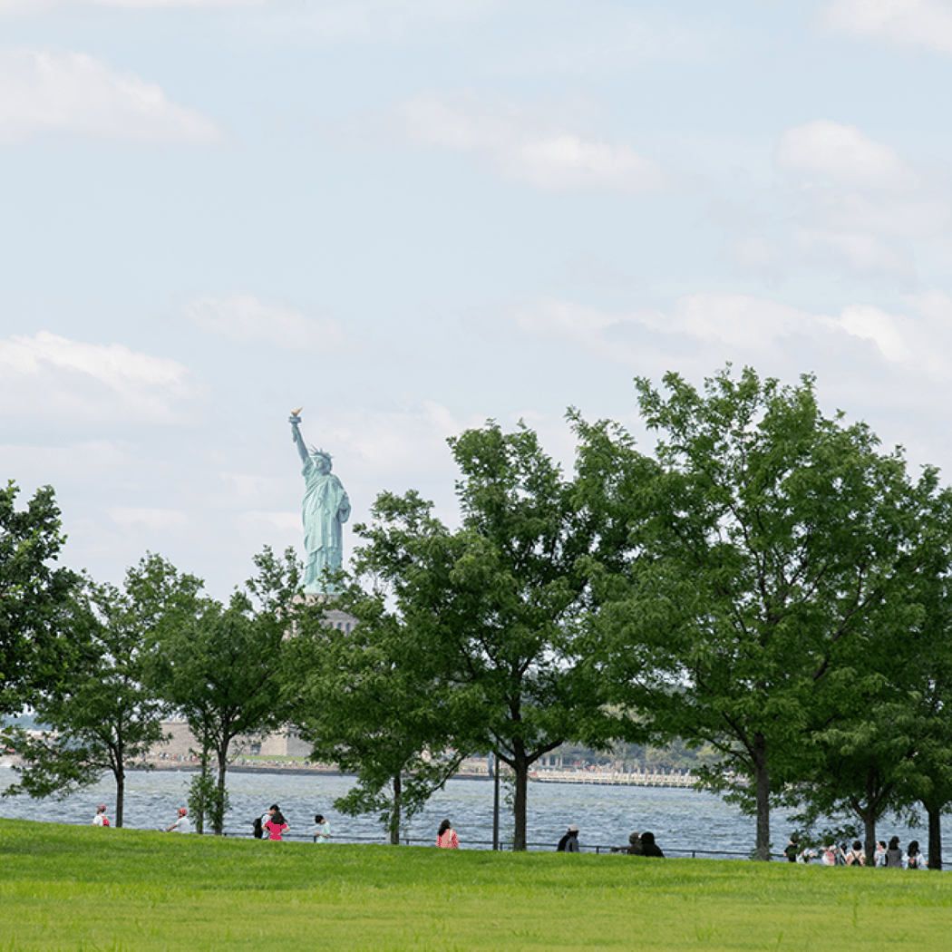 Tree Tour