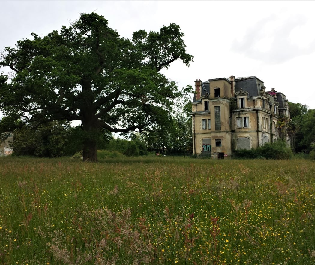 Parc de Castillon 2