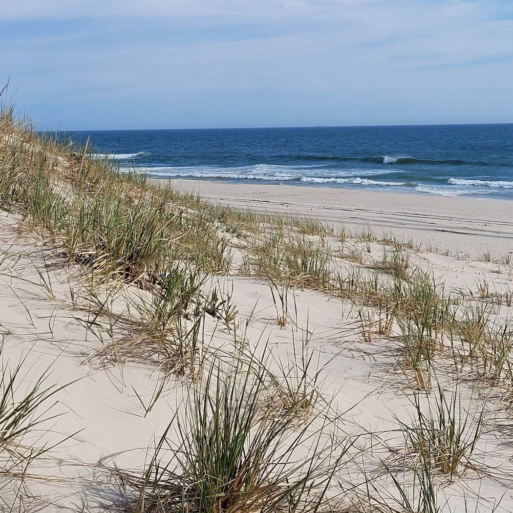 Island Beach State Park 2