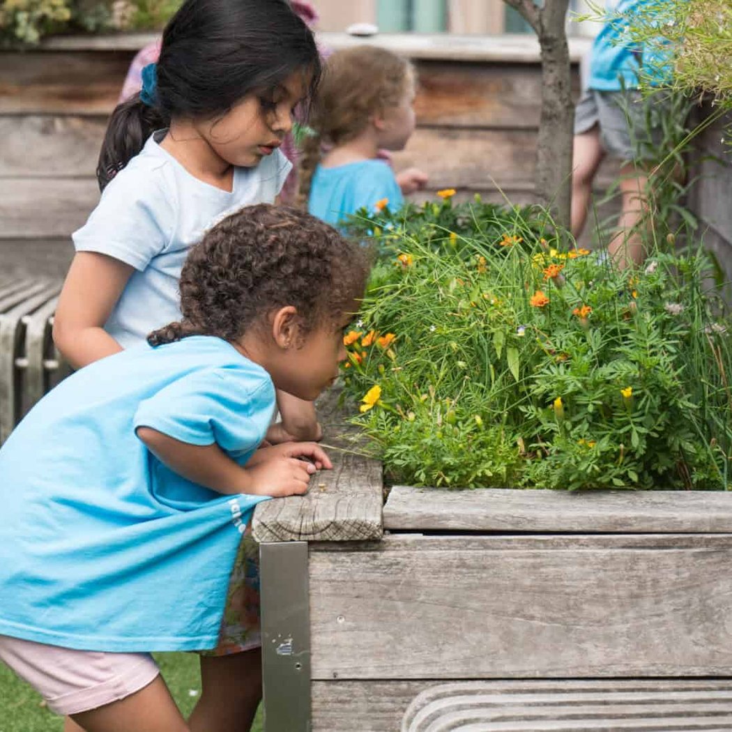 Day Camp Information Sessions 1