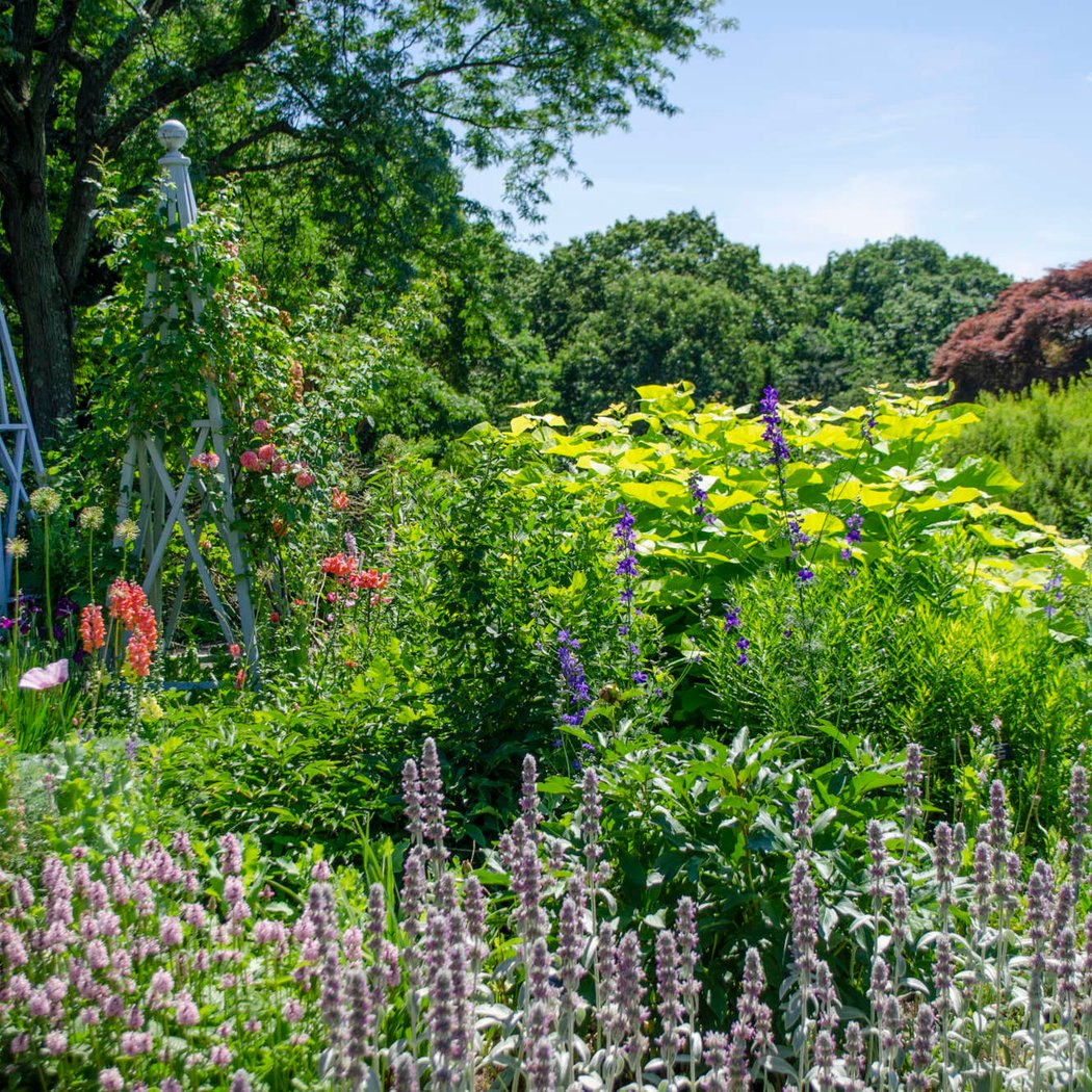 Garden Highlights Walk 2