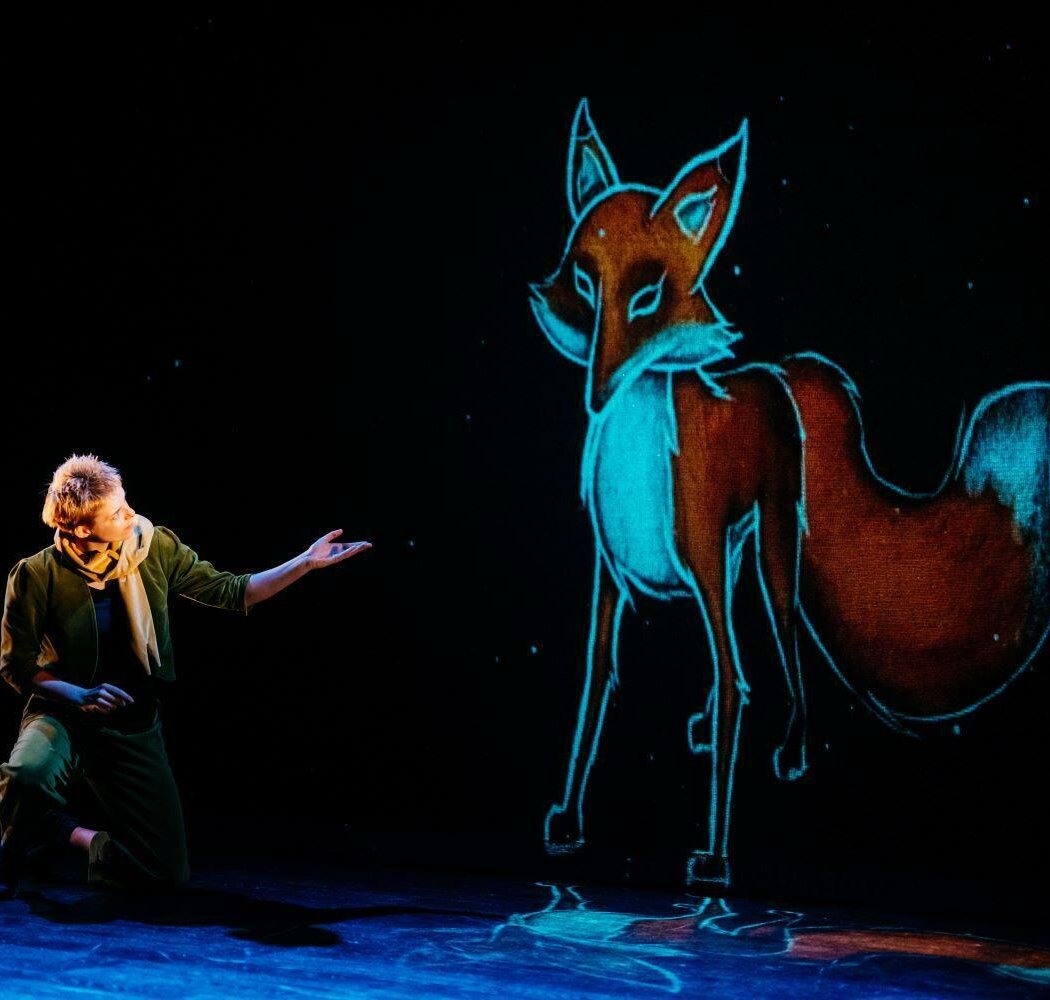 Le petit prince 1