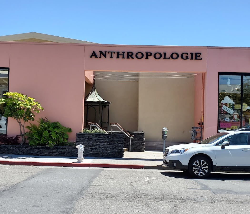 Anthropologie 2