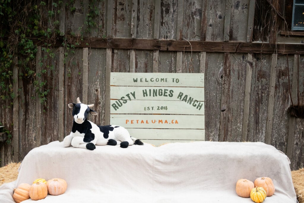 Rusty Hinges Ranch 2