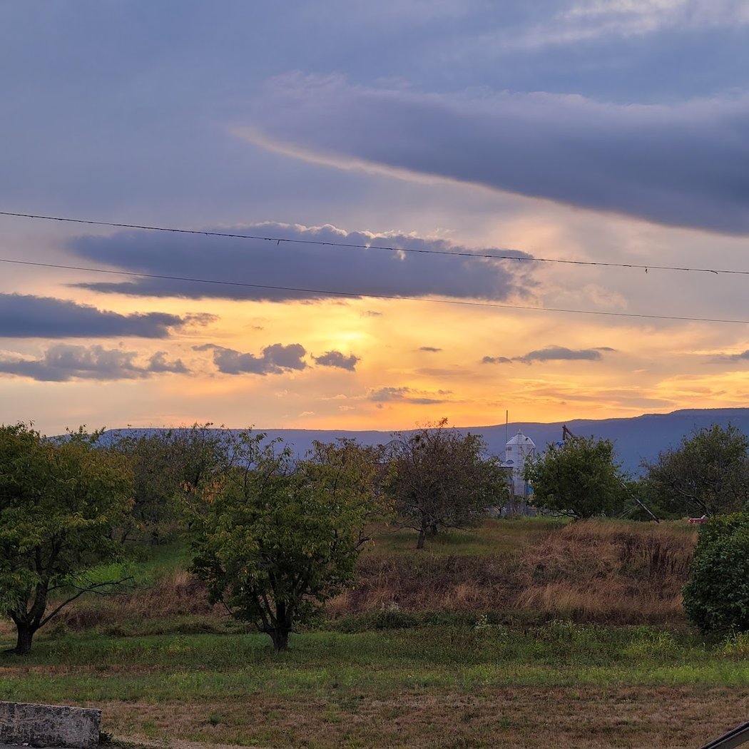 Tantillo's Farm Market 3