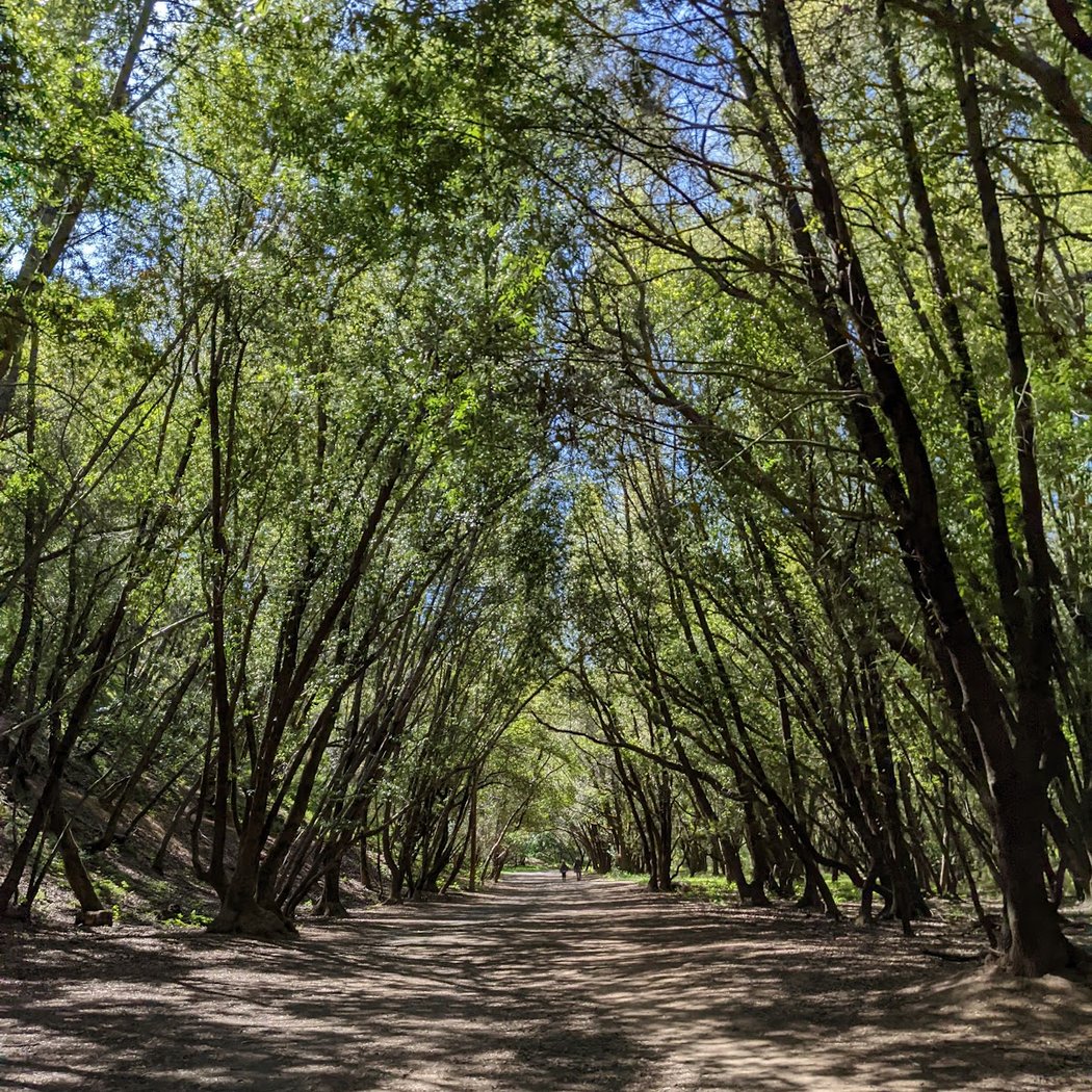 Indian Valley Preserve Trailhead 2