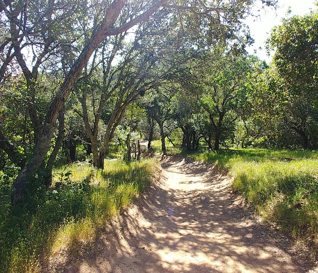 Indian Valley Preserve