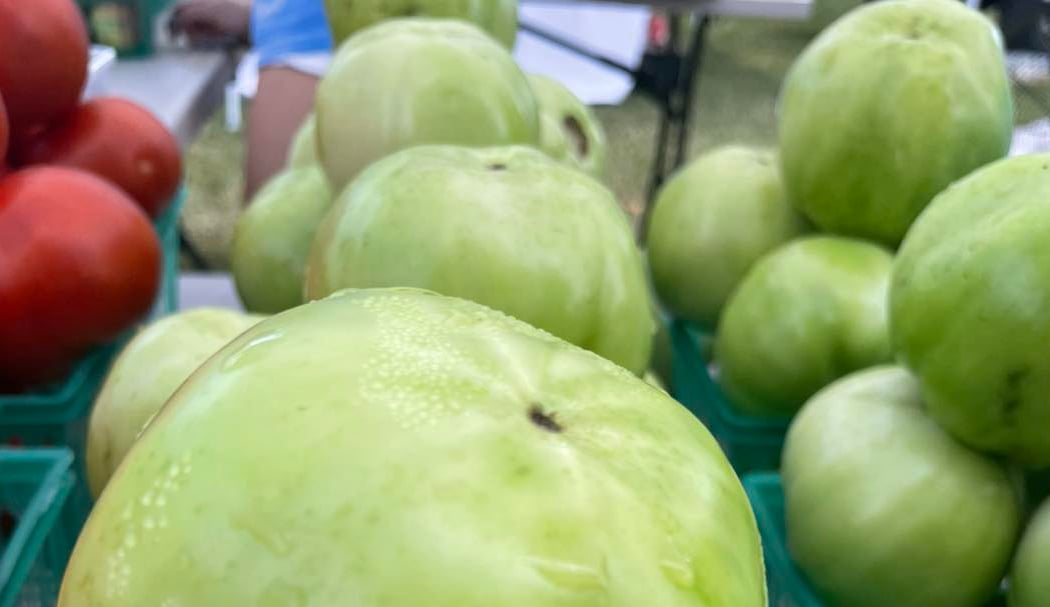 O Grows Farmers Market 5