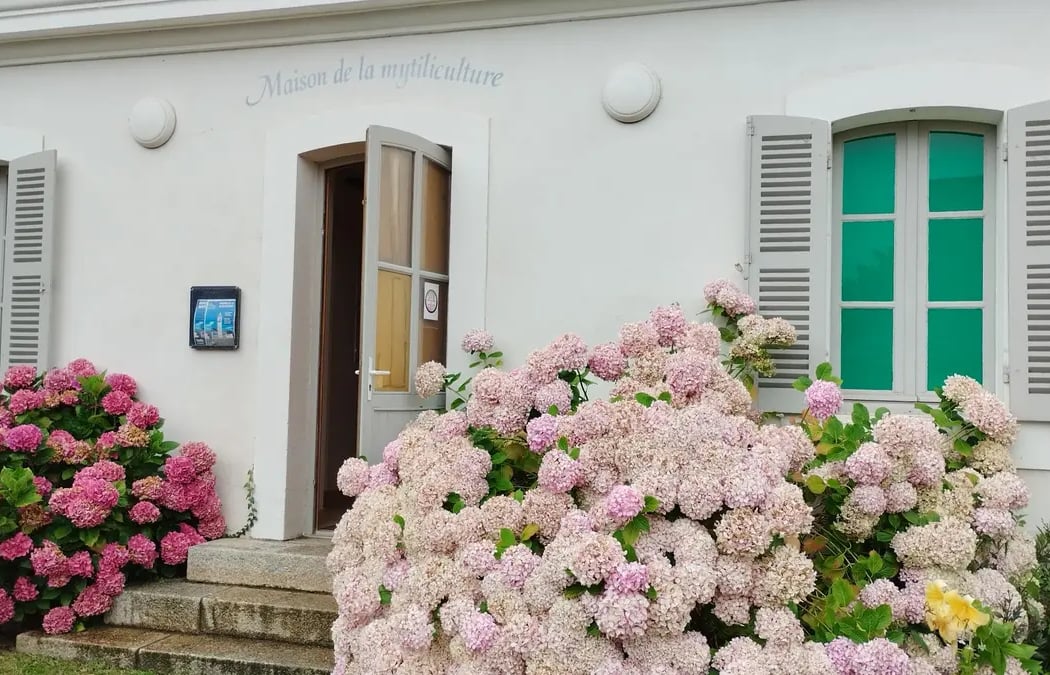 Maison de la Mytiliculture 2
