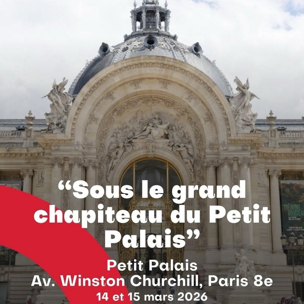 L'esprit du cirque avec l’Académie Fratellini 1