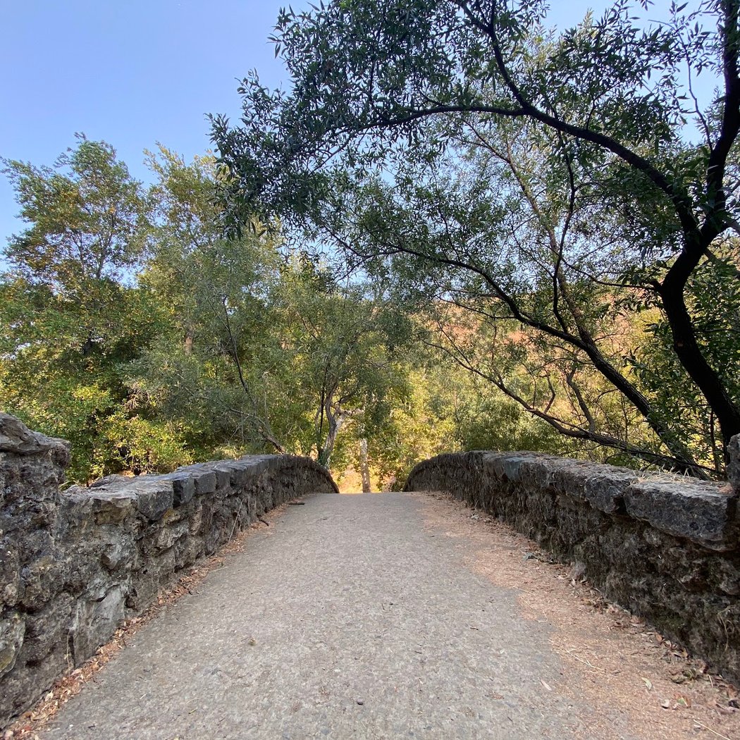 Penitencia Creek Trail 3