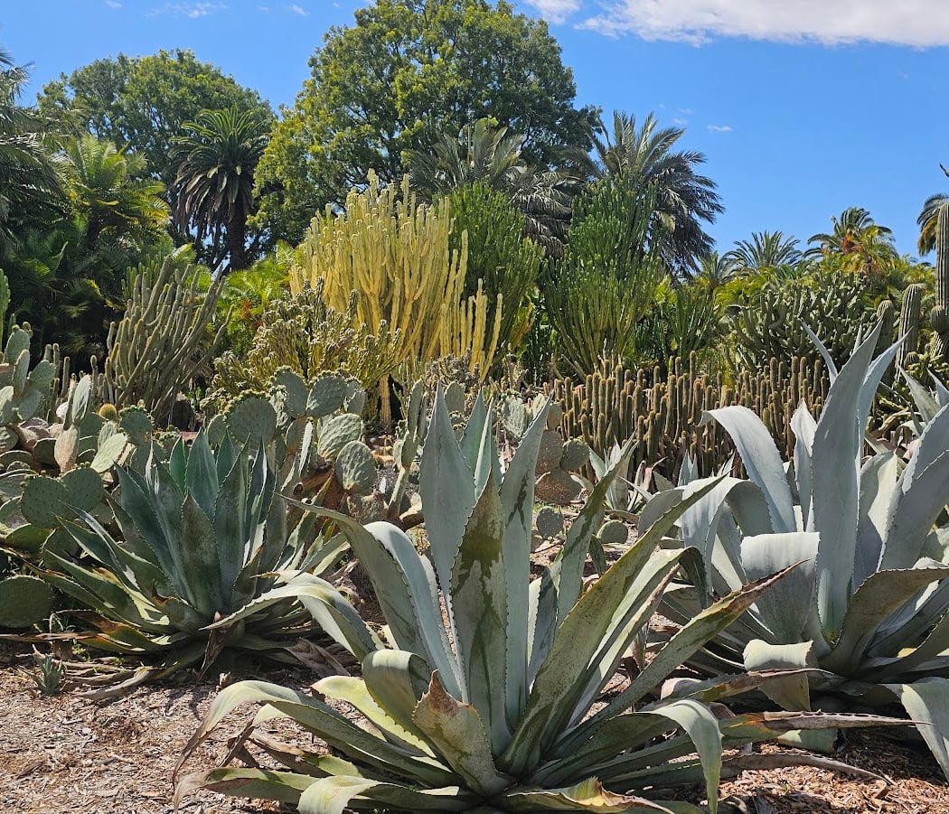 Ganna Walska Lotusland 3