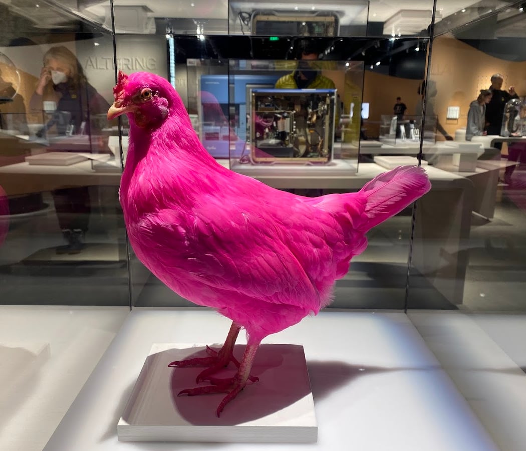 MIT Museum 3