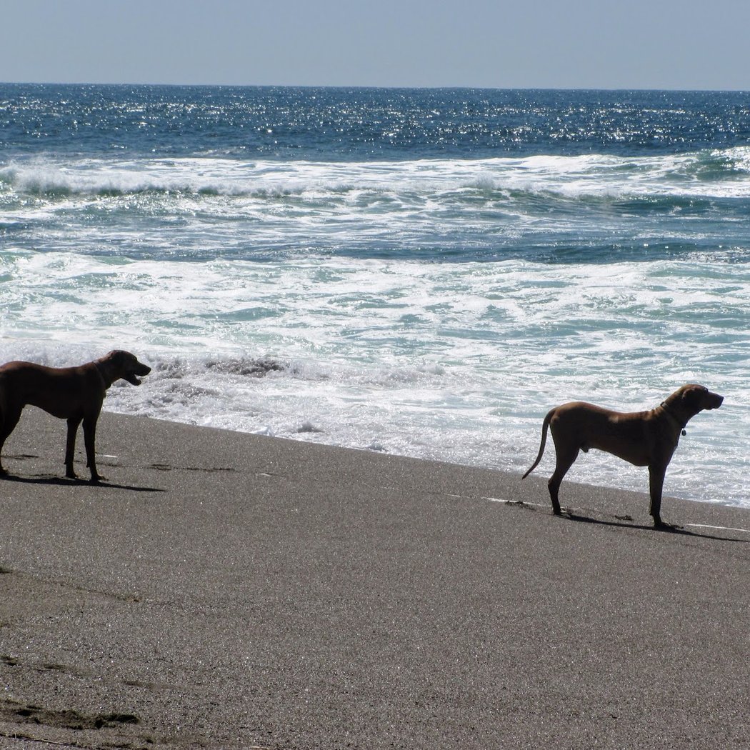 Point Reyes Beach South 2