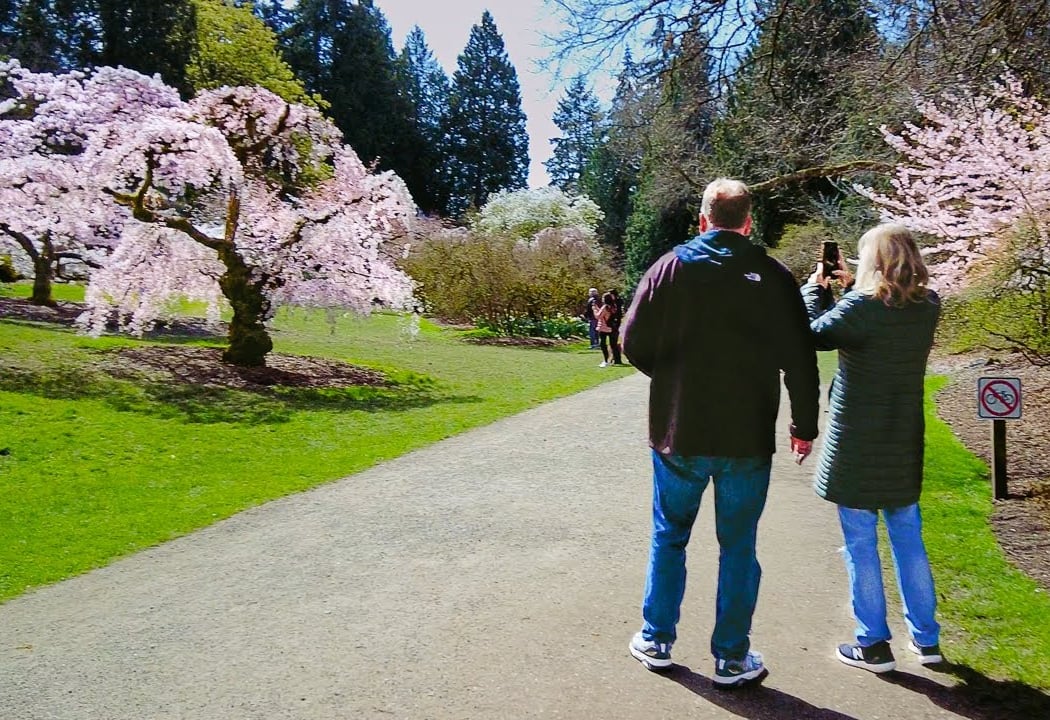 Arboretum Walking Tour 2