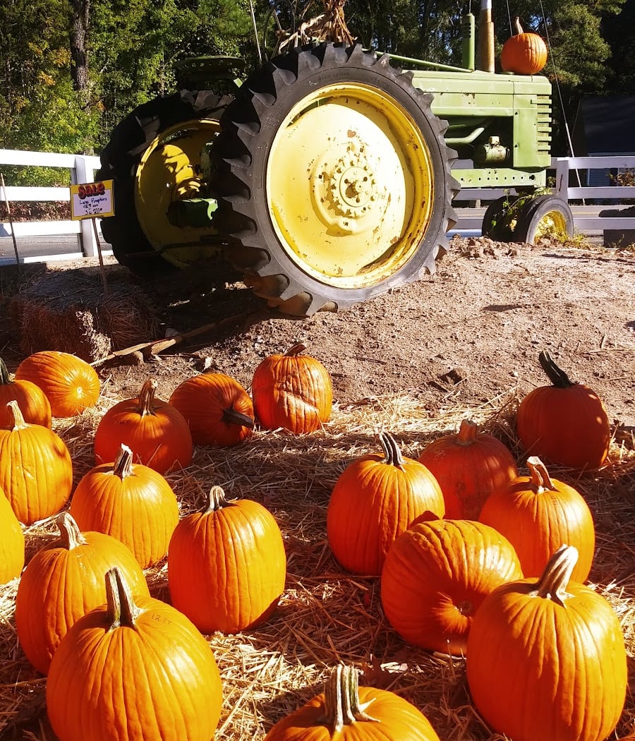 Hanover Vegetable Farm 1