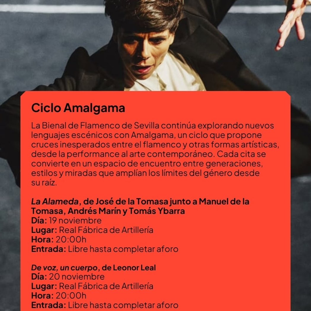 Ciclo Amalgama - La Alameda 1