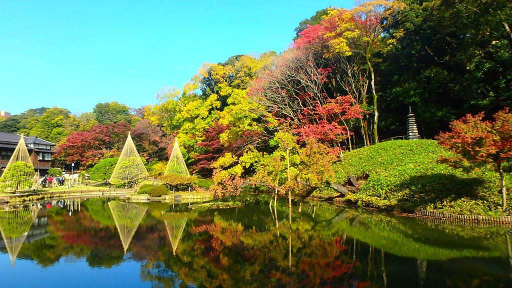 Higo-Hosokawa Garden 1