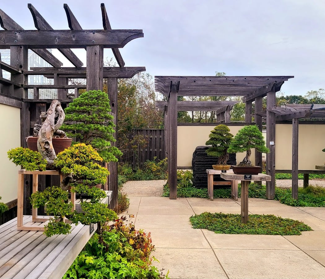 Bonsai Garden 3