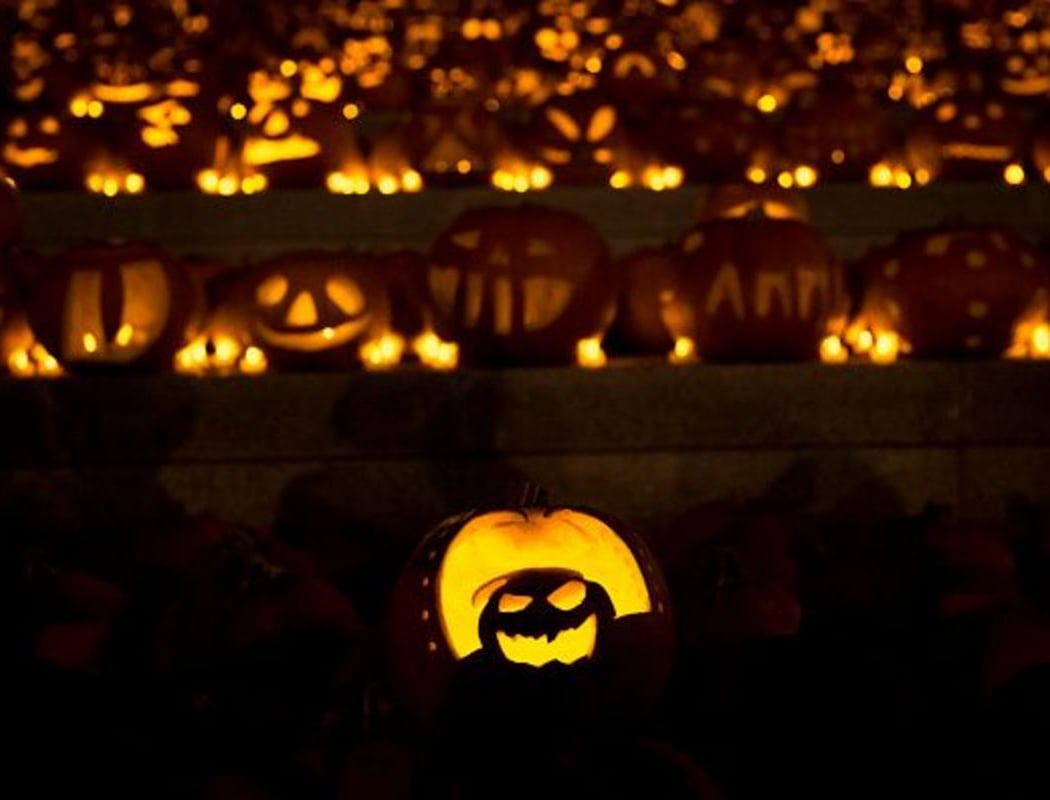 Enchanted Pumpkin Trail 2