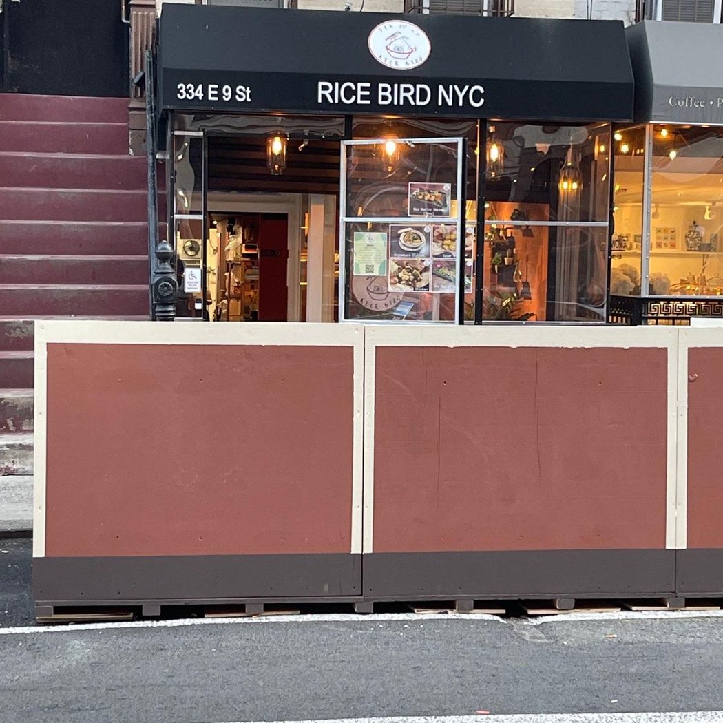 Rice Bird NYC 2