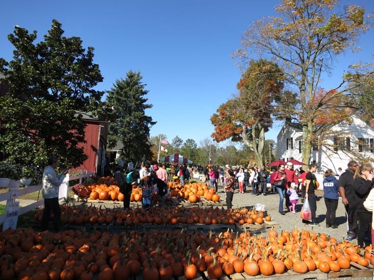 Fall Family Fun Weekends 2