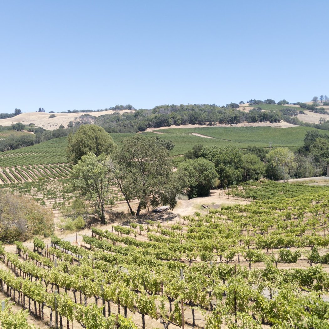 Christopher Creek Winery 3