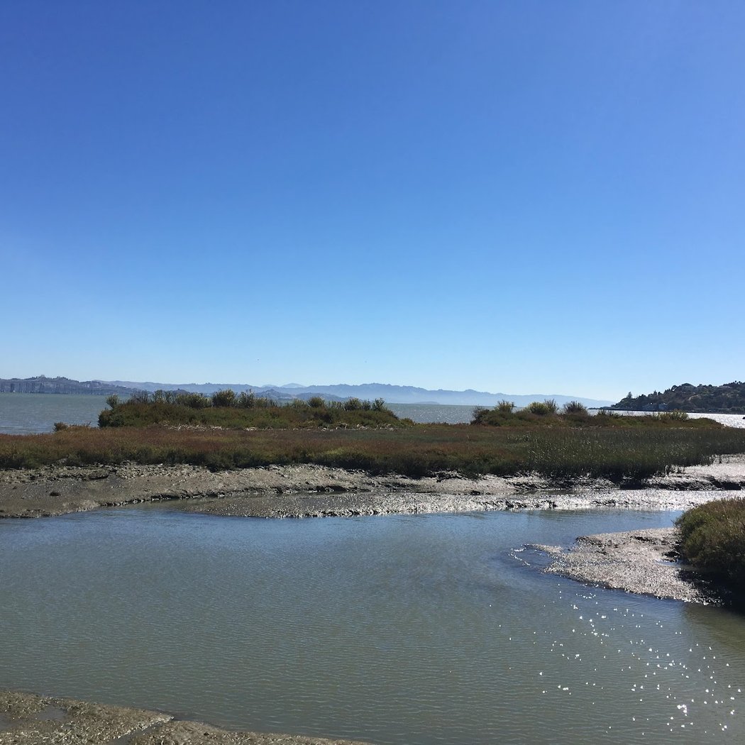 Corte Madera Marsh State Marine Park 2