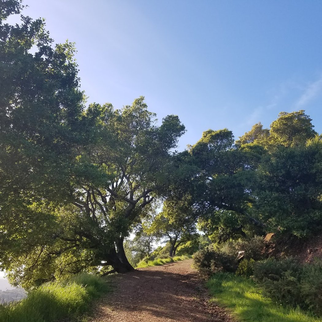 Boyd Memorial Park 1