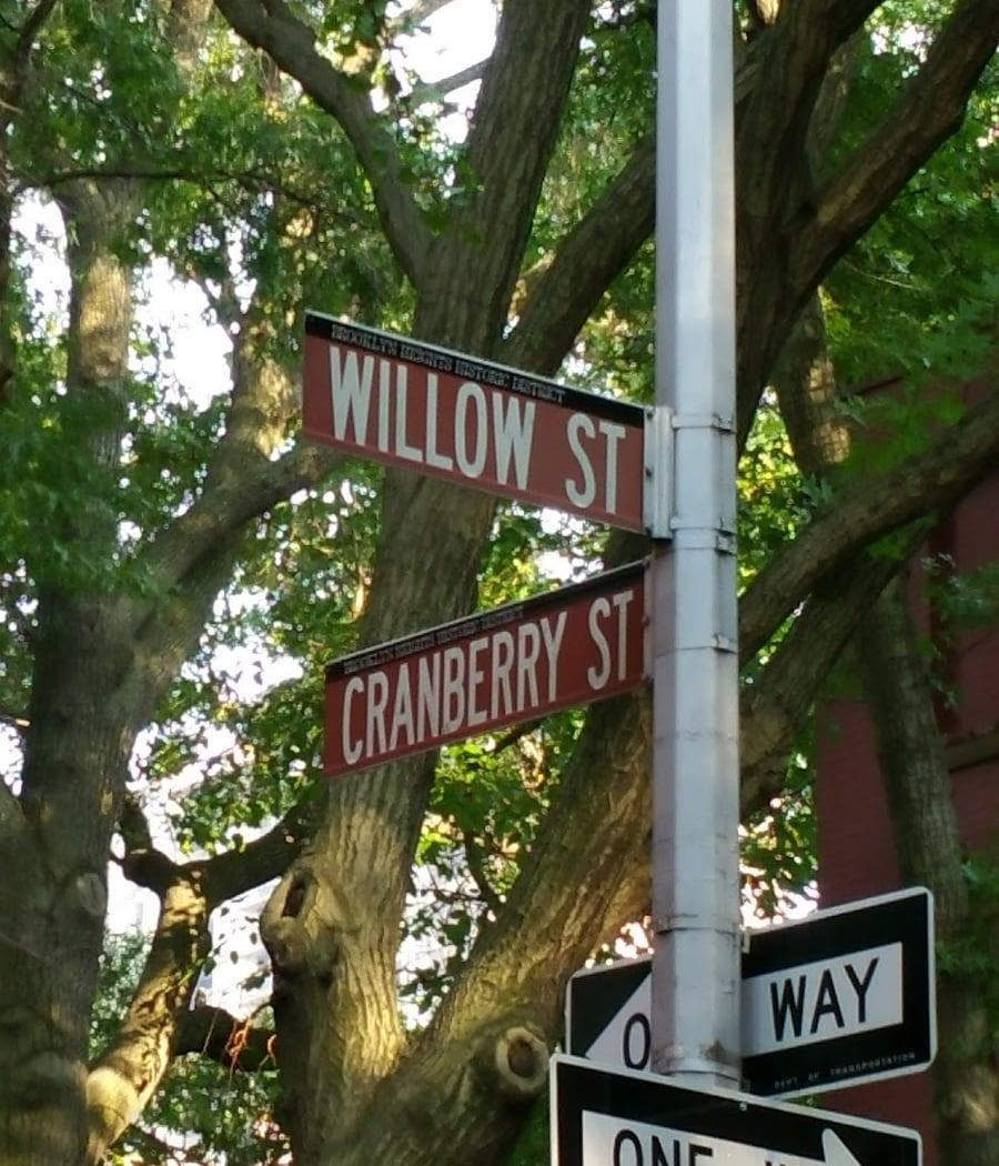 Willow St 2