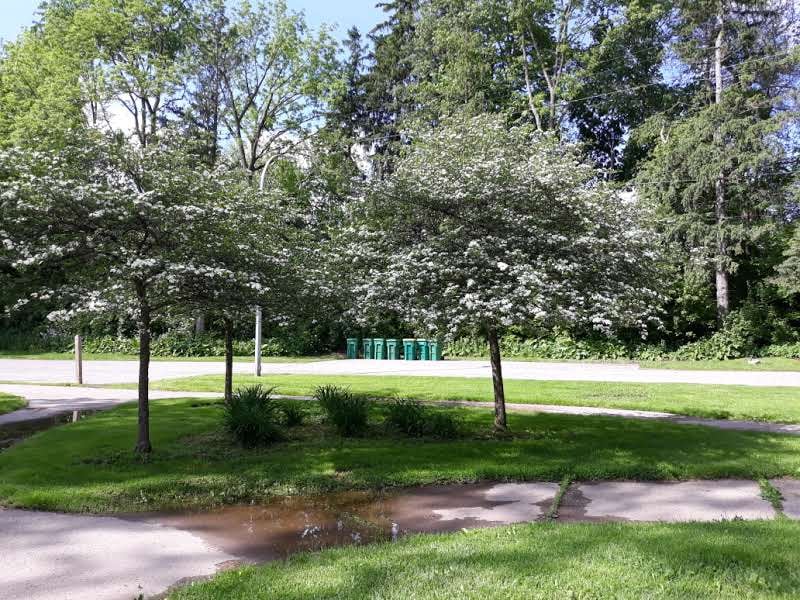 Curtiss Park 3