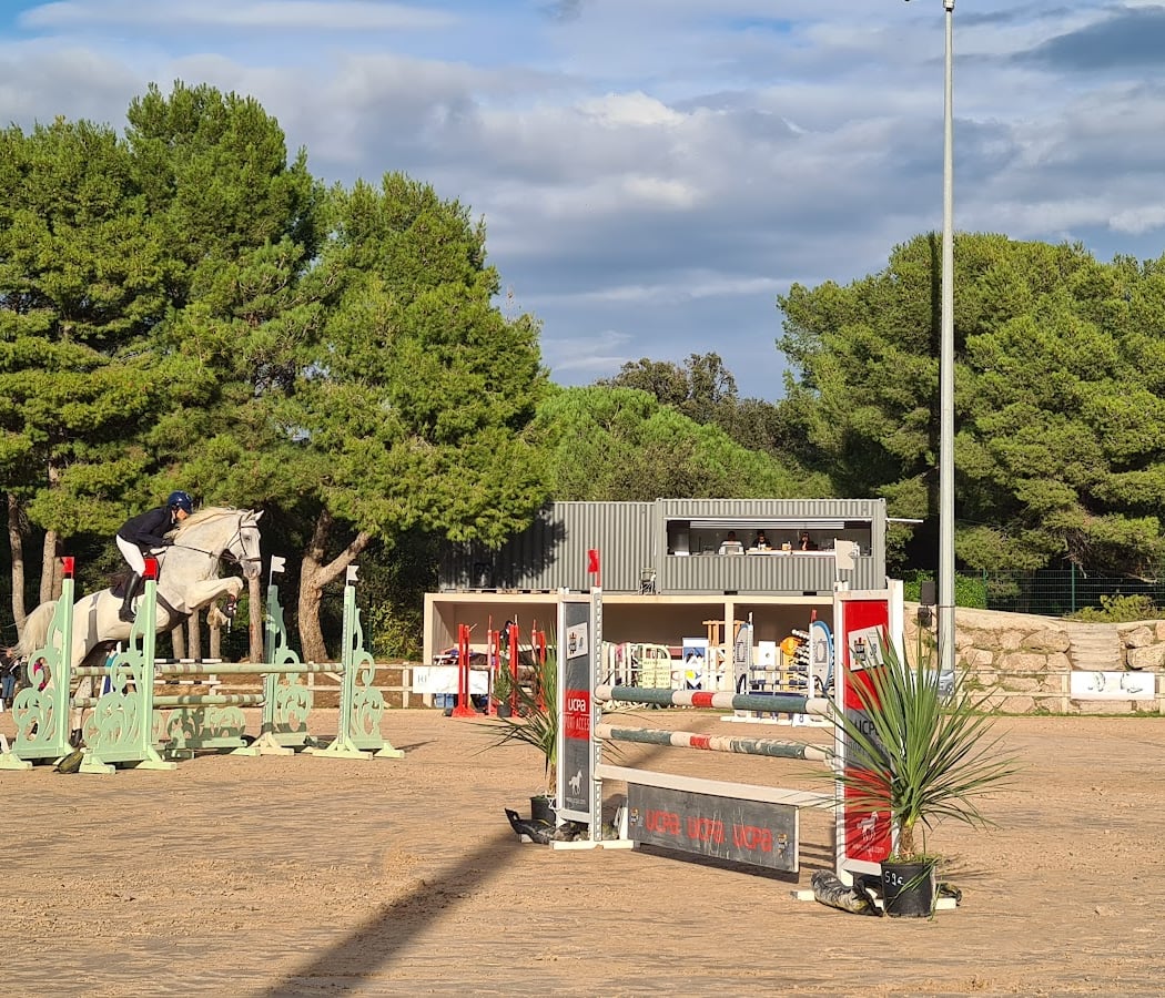 Stage d'équitation 4