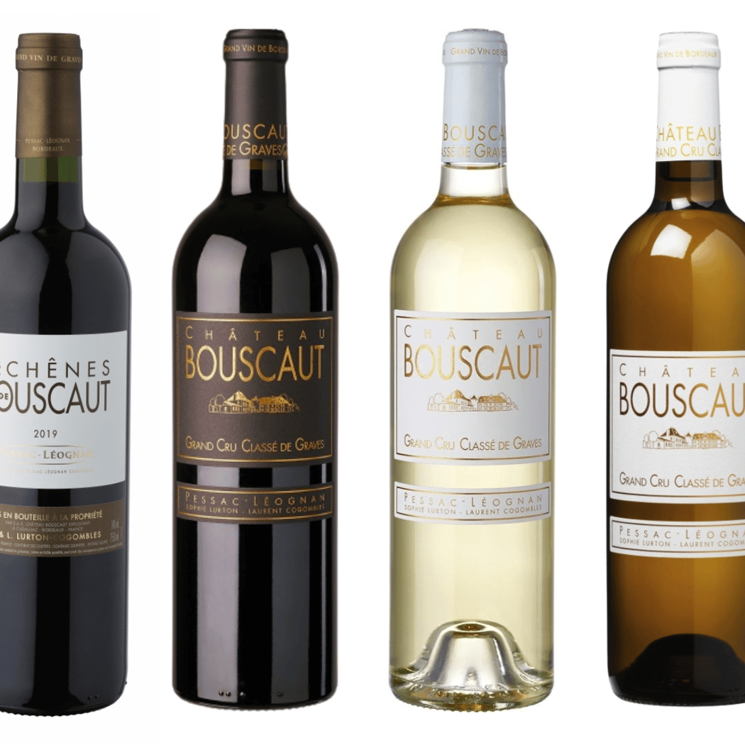 À la découverte du Château Bouscaut 3