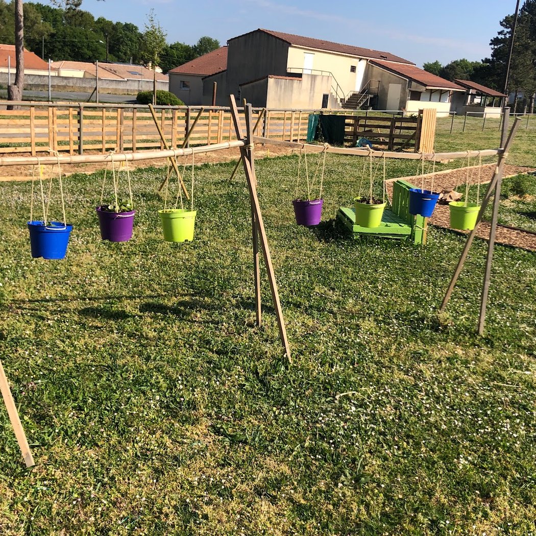 Atelier potager : soigner les plantations de son potager 3