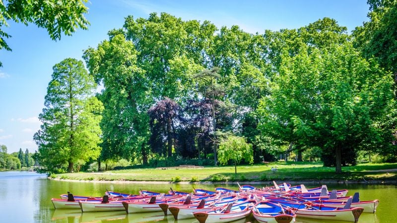 Bois de Vincennes 1