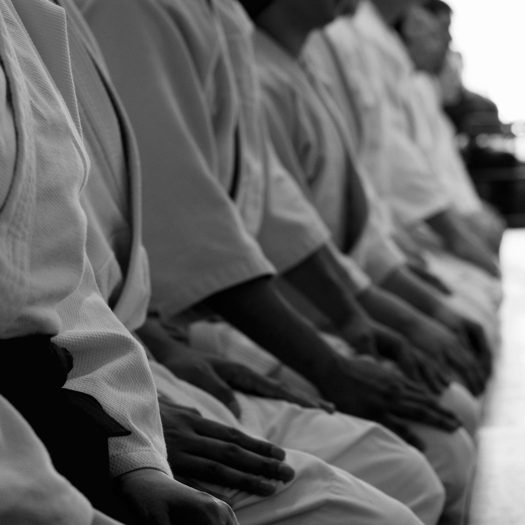 Maru Dojo 2
