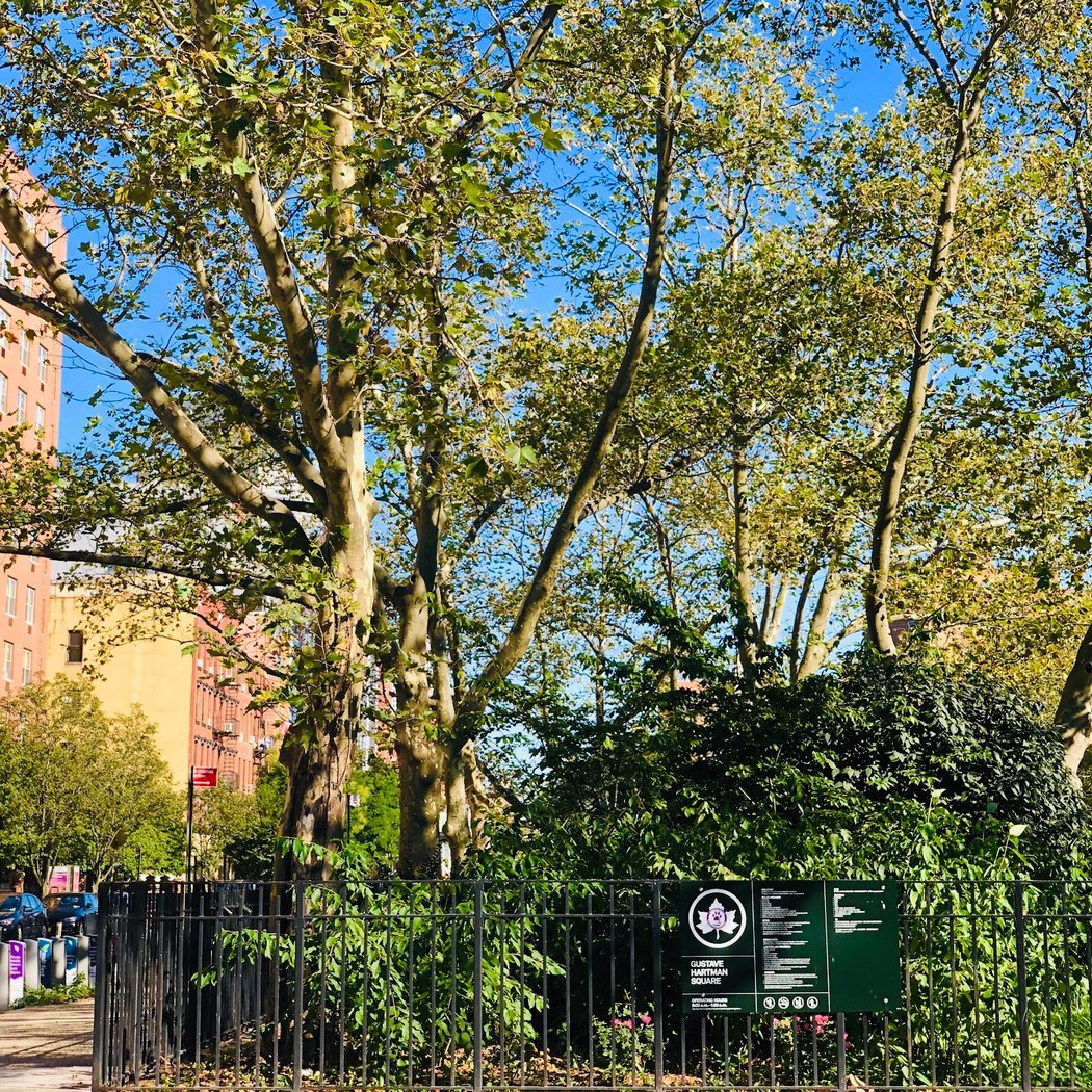 Gustave Hartman Square 1