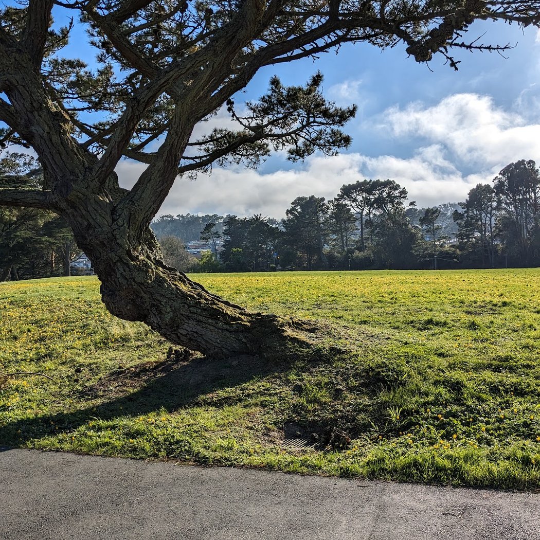 Westborough Park 1