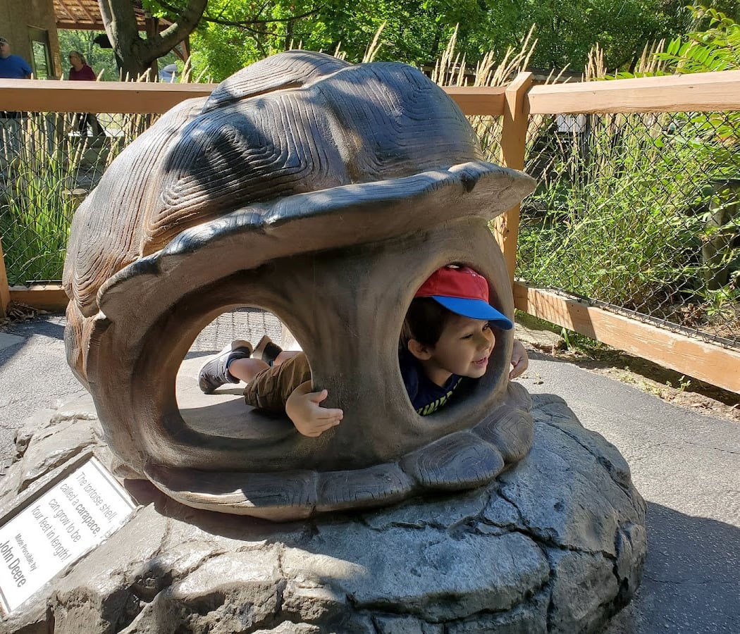 Blank Park Zoo 3