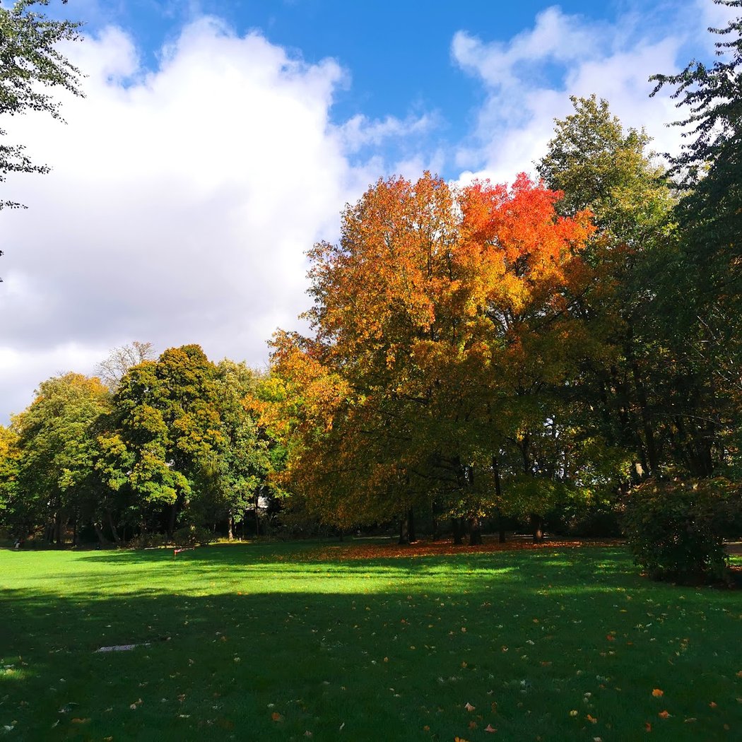 Castle Park 1