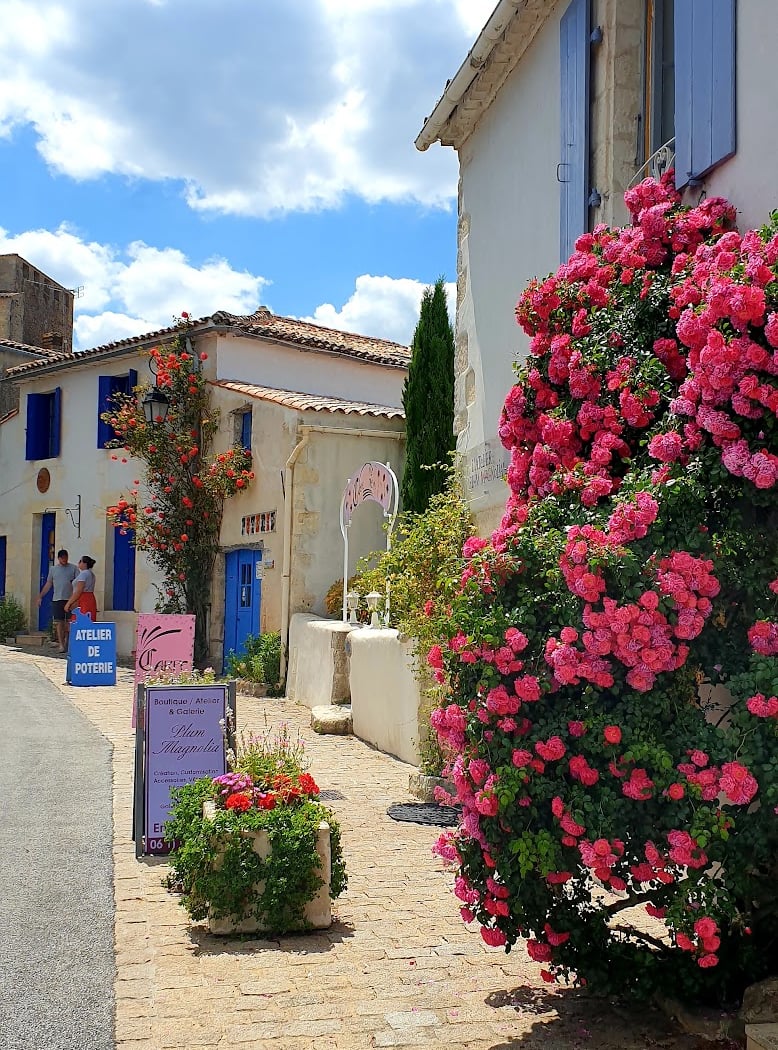 Mornac-sur-Seudre 1